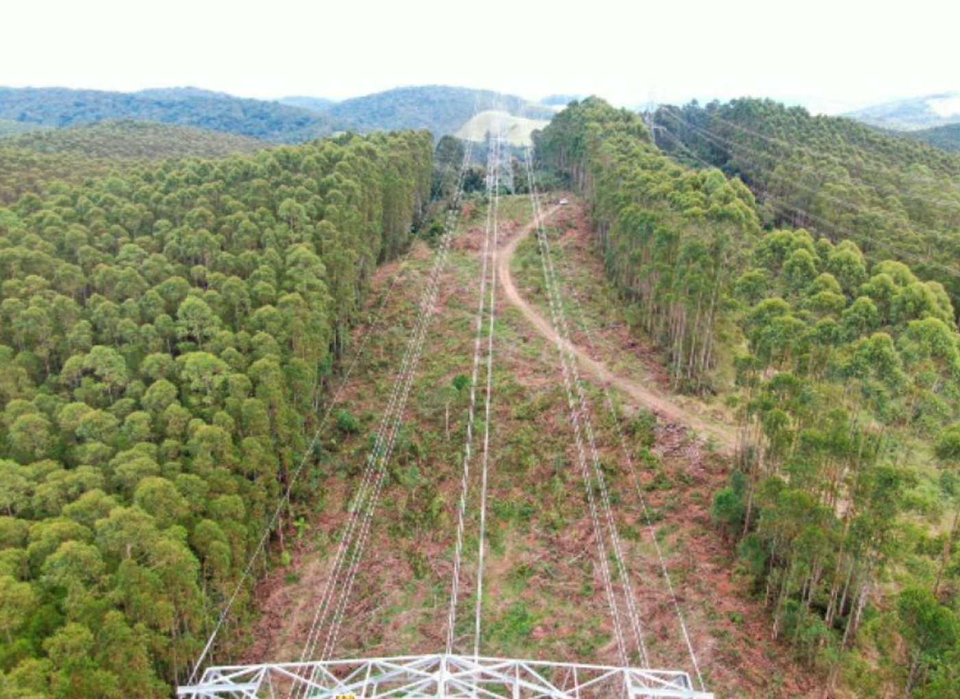Manutenção de Linhas Elétricas - Cor da Terra